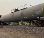UTLX 951577